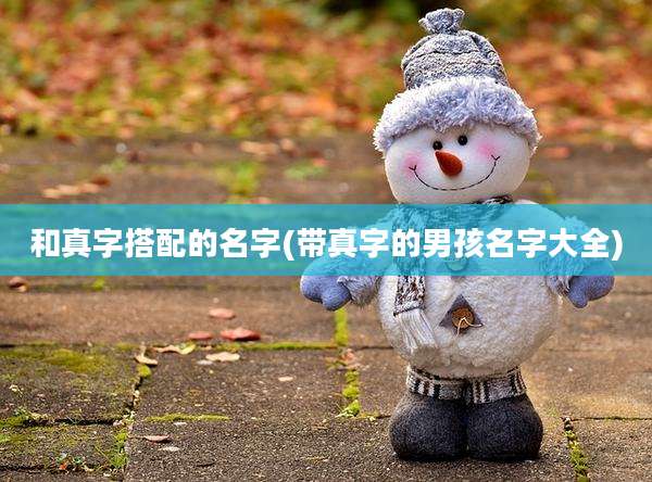 和真字搭配的名字(带真字的男孩名字大全)