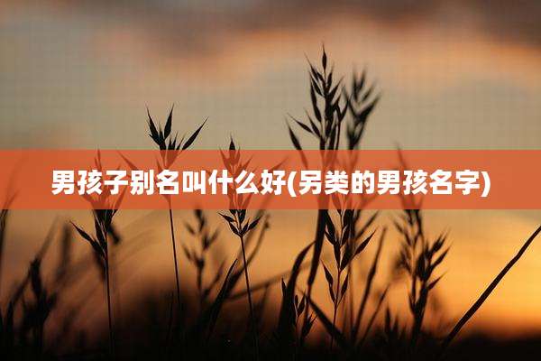 男孩子别名叫什么好(另类的男孩名字)