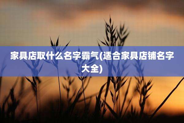 家具店取什么名字霸气(适合家具店铺名字大全)