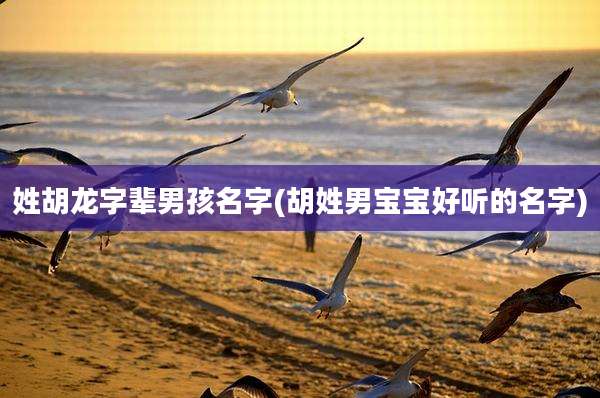 姓胡龙字辈男孩名字(胡姓男宝宝好听的名字)