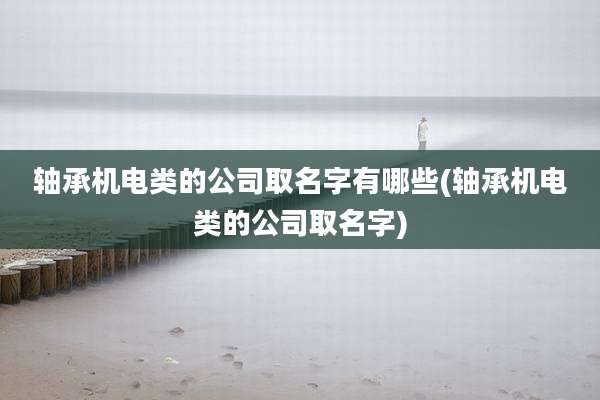 轴承机电类的公司取名字有哪些(轴承机电类的公司取名字)