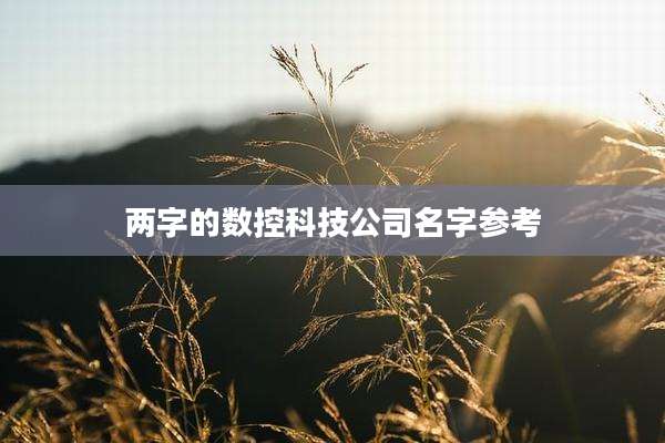 两字的数控科技公司名字参考