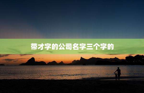 带才字的公司名字三个字的
