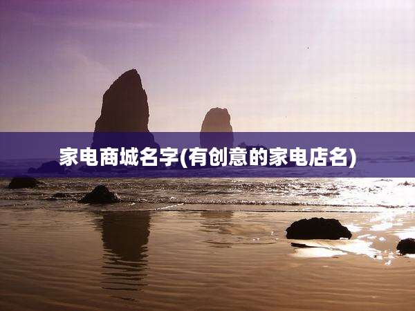 家电商城名字(有创意的家电店名)
