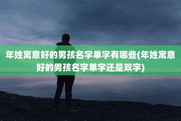 年姓寓意好的男孩名字单字有哪些(年姓寓意好的男孩名字单字还是双字)