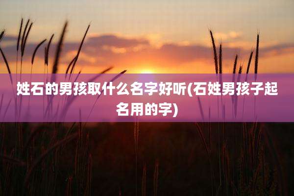 姓石的男孩取什么名字好听(石姓男孩子起名用的字)