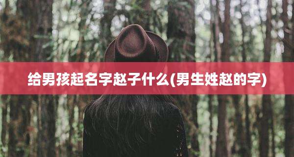 给男孩起名字赵子什么(男生姓赵的字)