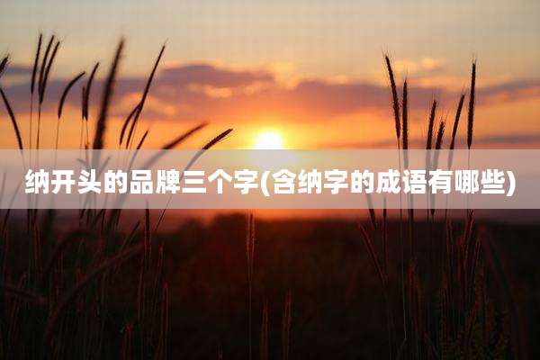 纳开头的品牌三个字(含纳字的成语有哪些)
