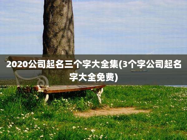 2020公司起名三个字大全集(3个字公司起名字大全免费)