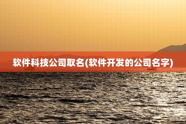 软件科技公司取名(软件开发的公司名字)