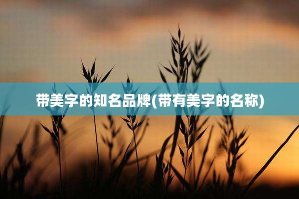 带美字的知名品牌(带有美字的名称)