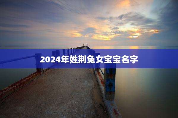 2024年姓荆兔女宝宝名字