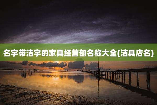 名字带洁字的家具经营部名称大全(洁具店名)