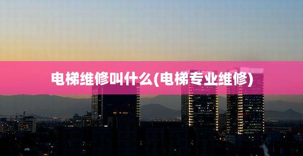 电梯维修叫什么(电梯专业维修)