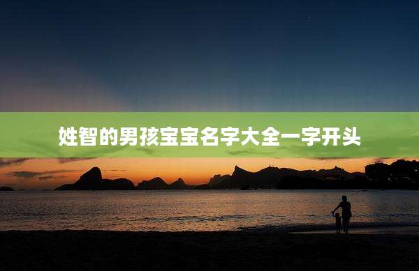 姓智的男孩宝宝名字大全一字开头
