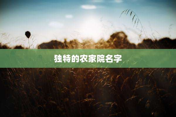 独特的农家院名字
