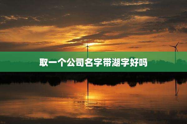 取一个公司名字带湖字好吗