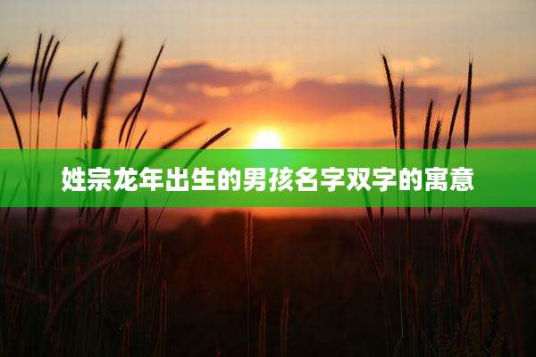 姓宗龙年出生的男孩名字双字的寓意