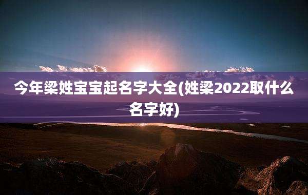 今年梁姓宝宝起名字大全(姓梁2022取什么名字好)