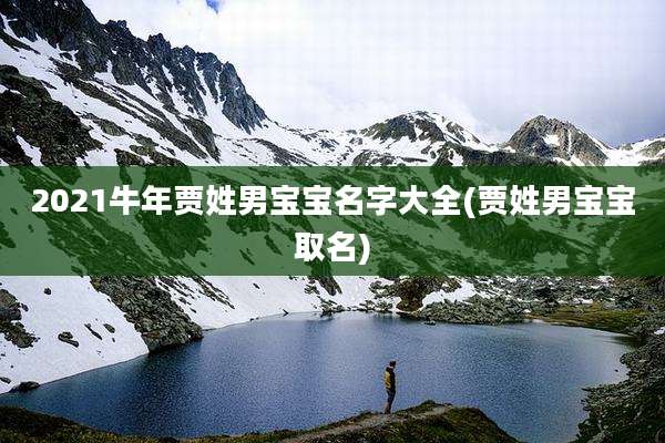 2021牛年贾姓男宝宝名字大全(贾姓男宝宝取名)
