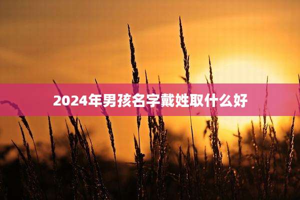 2024年男孩名字戴姓取什么好