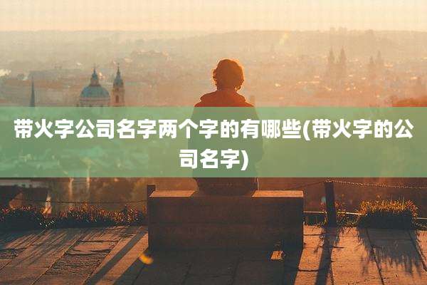 带火字公司名字两个字的有哪些(带火字的公司名字)