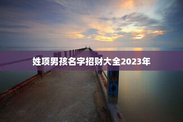 姓项男孩名字招财大全2023年