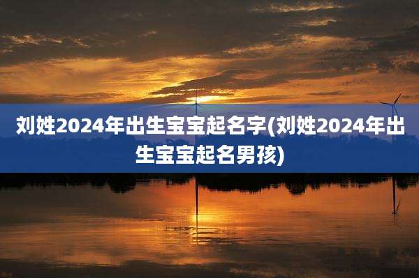刘姓2024年出生宝宝起名字(刘姓2024年出生宝宝起名男孩)