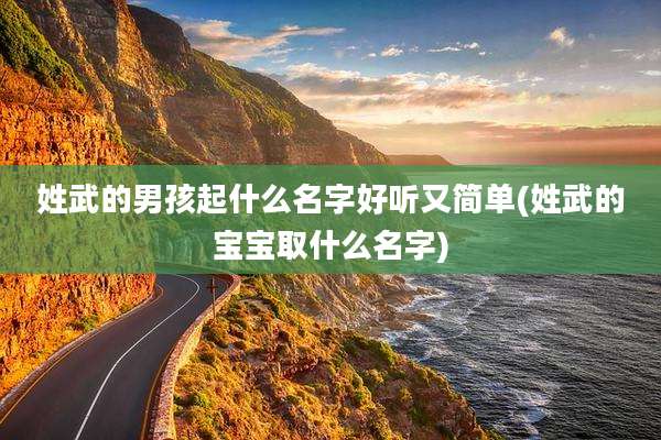姓武的男孩起什么名字好听又简单(姓武的宝宝取什么名字)