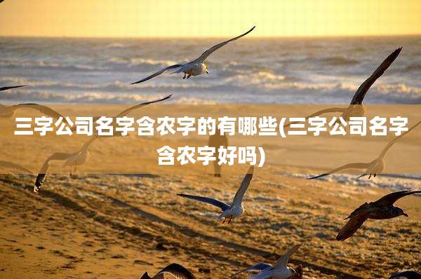三字公司名字含农字的有哪些(三字公司名字含农字好吗)