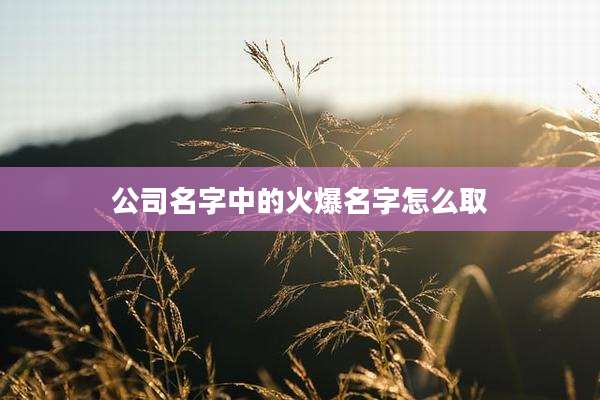 公司名字中的火爆名字怎么取