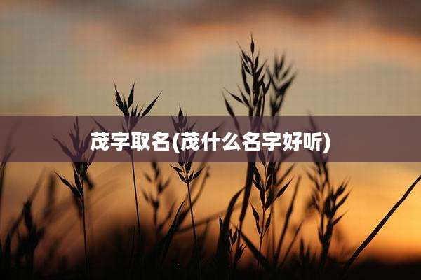 茂字取名(茂什么名字好听)
