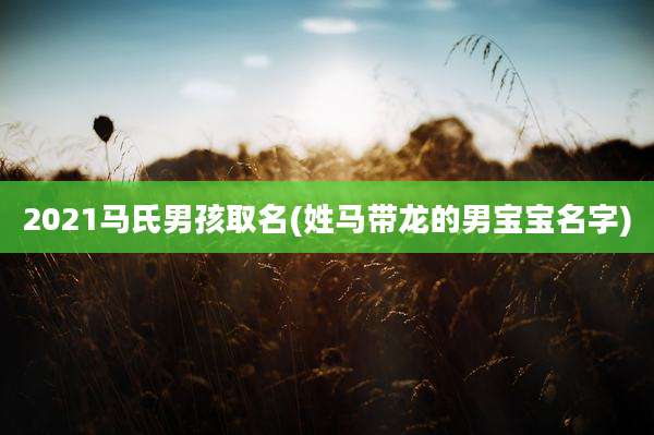 2021马氏男孩取名(姓马带龙的男宝宝名字)