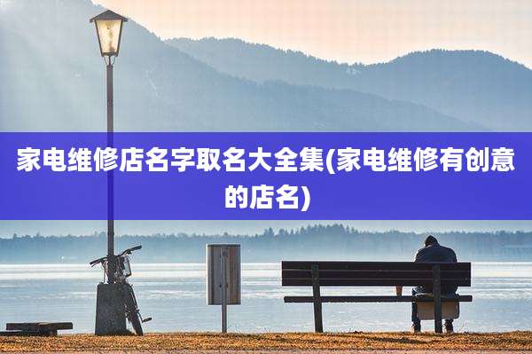家电维修店名字取名大全集(家电维修有创意的店名)