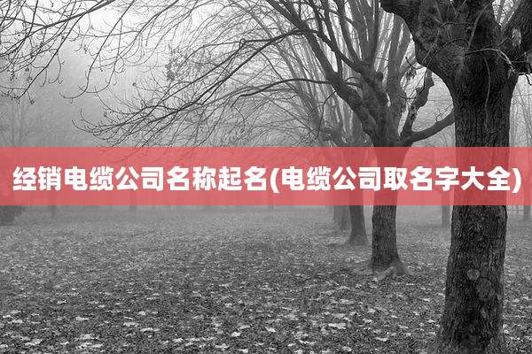 经销电缆公司名称起名(电缆公司取名字大全)