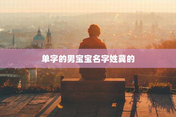 单字的男宝宝名字姓冀的