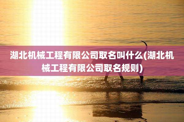 湖北机械工程有限公司取名叫什么(湖北机械工程有限公司取名规则)