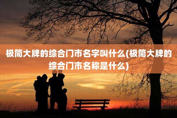 极简大牌的综合门市名字叫什么(极简大牌的综合门市名称是什么)