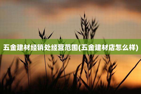 五金建材经销处经营范围(五金建材店怎么样)