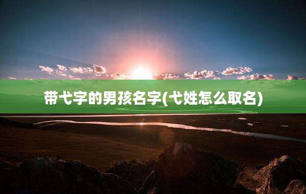 带弋字的男孩名字(弋姓怎么取名)
