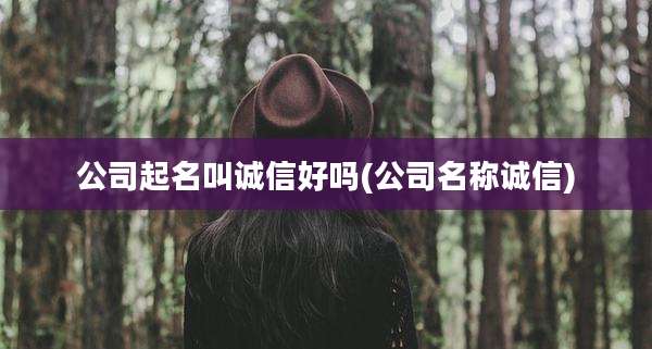 公司起名叫诚信好吗(公司名称诚信)