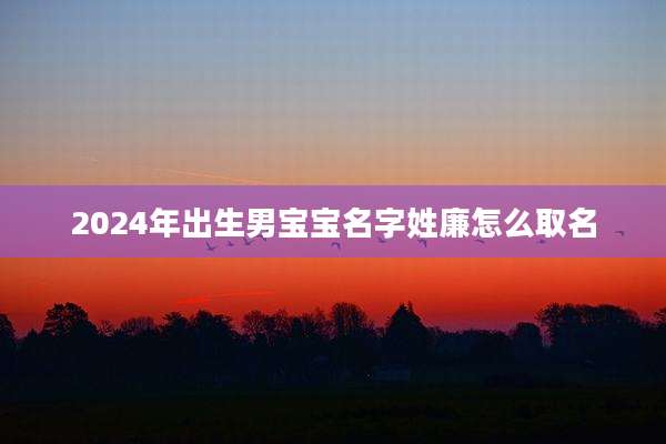 2024年出生男宝宝名字姓廉怎么取名
