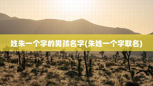 姓朱一个字的男孩名字(朱姓一个字取名)