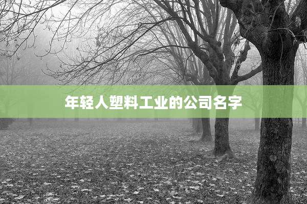 年轻人塑料工业的公司名字