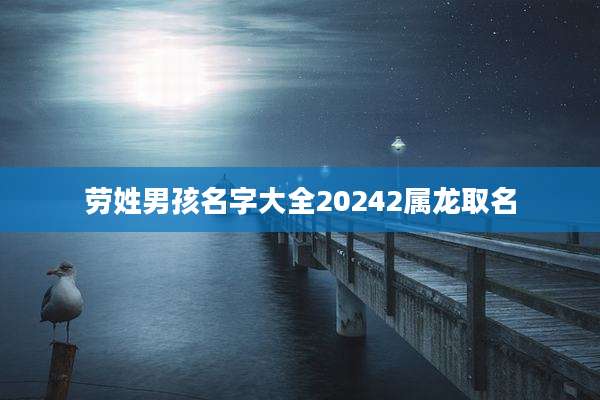 劳姓男孩名字大全20242属龙取名
