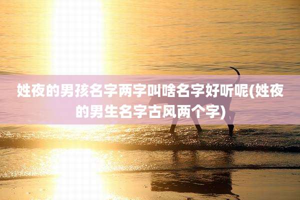 姓夜的男孩名字两字叫啥名字好听呢(姓夜的男生名字古风两个字)
