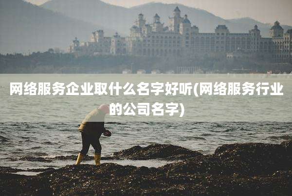 网络服务企业取什么名字好听(网络服务行业的公司名字)