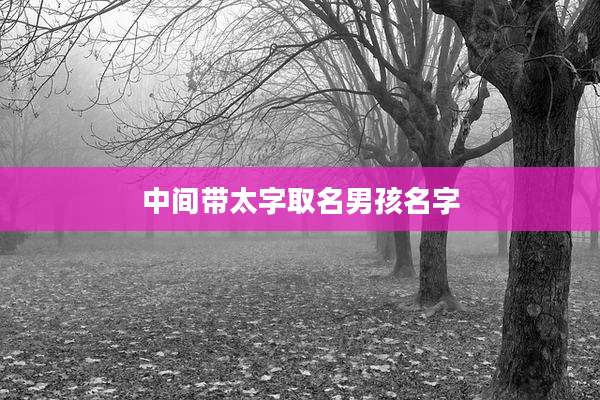 中间带太字取名男孩名字