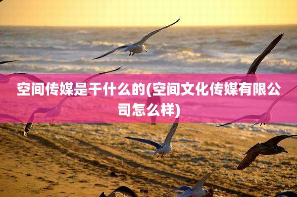 空间传媒是干什么的(空间文化传媒有限公司怎么样)