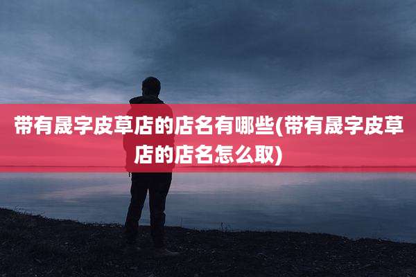 带有晟字皮草店的店名有哪些(带有晟字皮草店的店名怎么取)